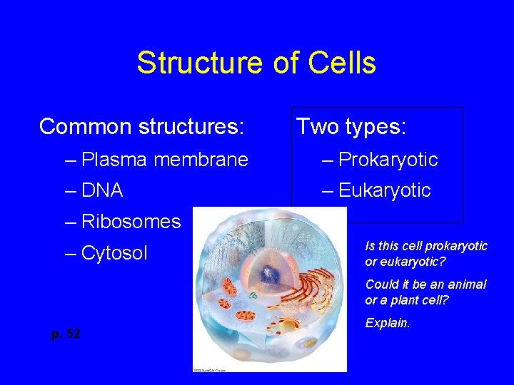 Structure of Cells Common structures: Two types: – Plasma membrane – Prokaryotic – DNA