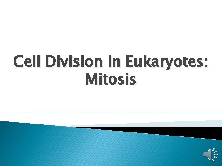 Cell Division in Eukaryotes: Mitosis Cell Division in Eukaryotes: Mitosis