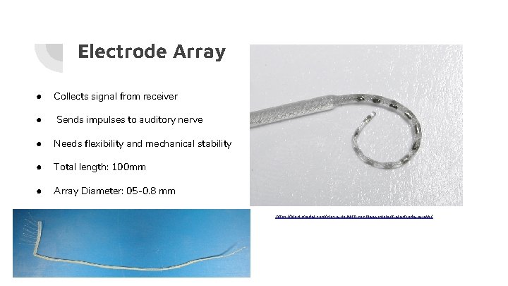 Electrode Array ● Collects signal from receiver ● Sends impulses to auditory nerve ●