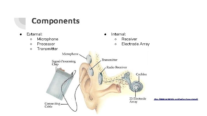 Components ● External: ○ Microphone ○ Processor ○ Transmitter ● Internal: ○ Receiver ○