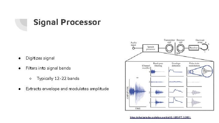 Signal Processor ● Digitizes signal ● Filters into signal bands ○ ● Typically 12