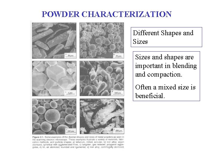 POWDER CHARACTERIZATION Different Shapes and Sizes and shapes are important in blending and compaction. POWDER CHARACTERIZATION Different Shapes and Sizes and shapes are important in blending and compaction.