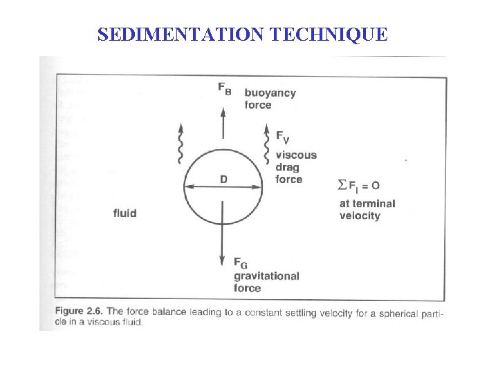 SEDIMENTATION TECHNIQUE SEDIMENTATION TECHNIQUE