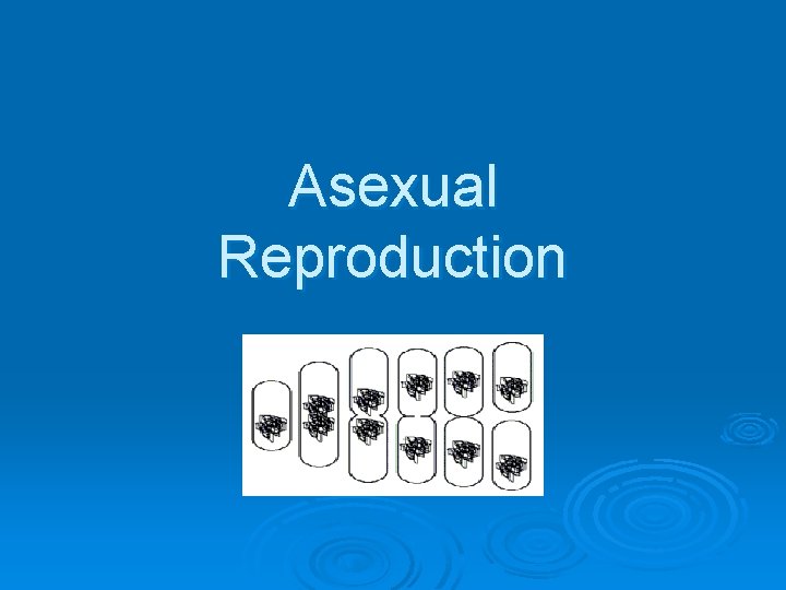 Asexual Reproduction 