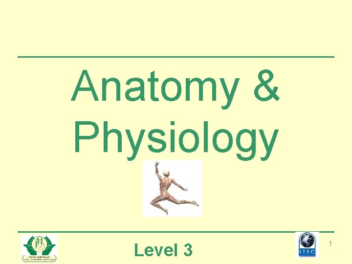 Anatomy & Physiology Level 3 1 