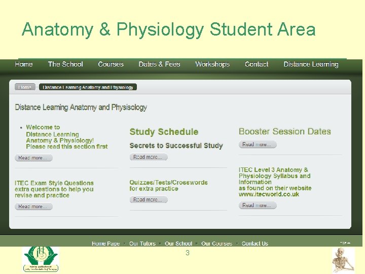 Anatomy & Physiology Student Area 3 
