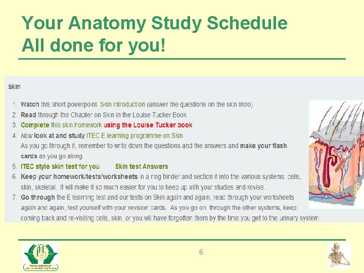 Your Anatomy Study Schedule All done for you! 6 