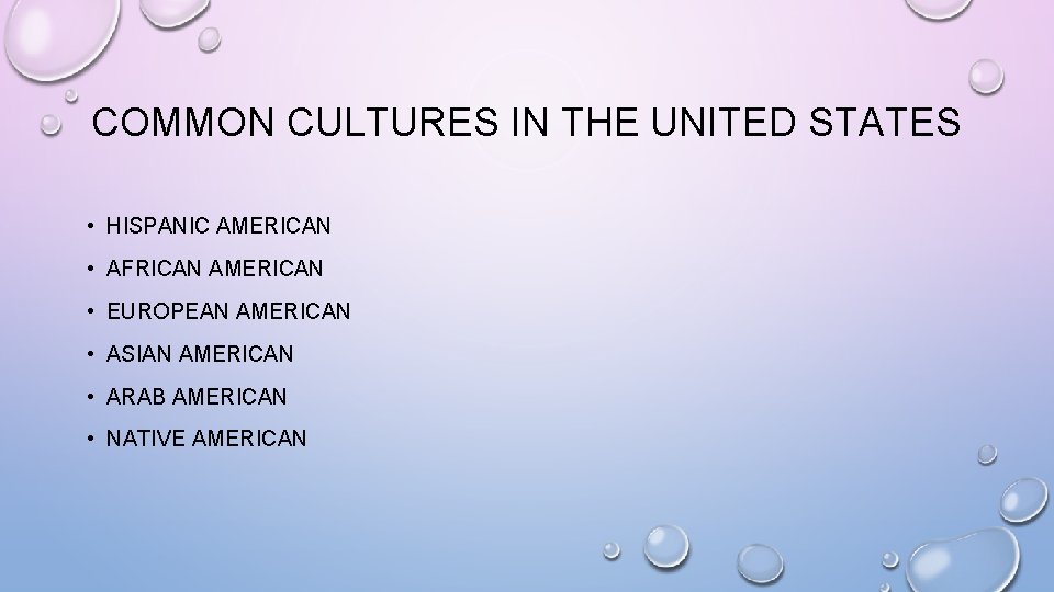 COMMON CULTURES IN THE UNITED STATES • HISPANIC AMERICAN • AFRICAN AMERICAN • EUROPEAN