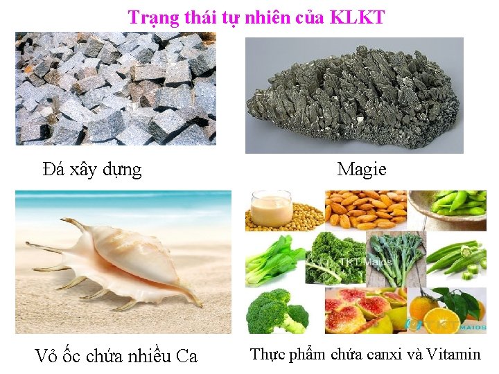 Trạng thái tự nhiên của KLKT Đá xây dựng Vỏ ốc chứa nhiều Ca