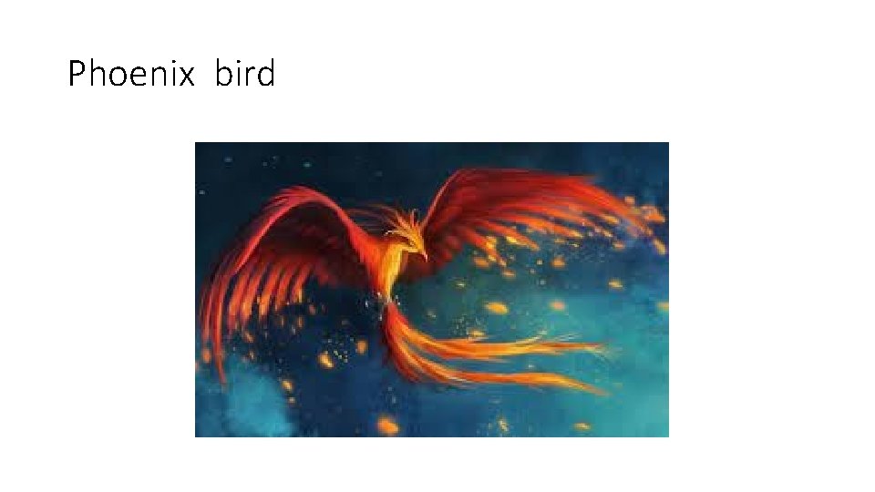 Phoenix bird 