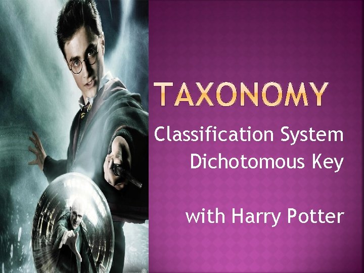 Classification System Dichotomous Key with Harry Potter 