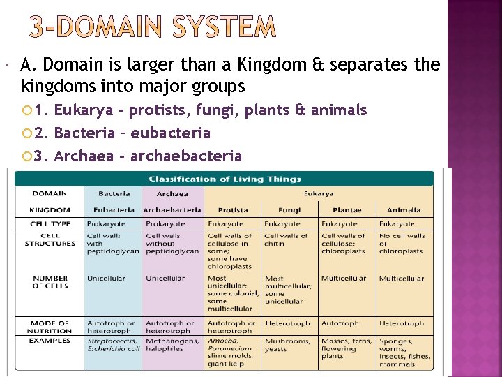  A. Domain is larger than a Kingdom & separates the kingdoms into major