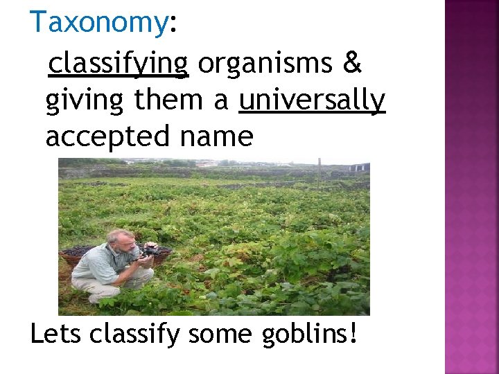 Taxonomy: classifying organisms & giving them a universally accepted name Lets classify some goblins!