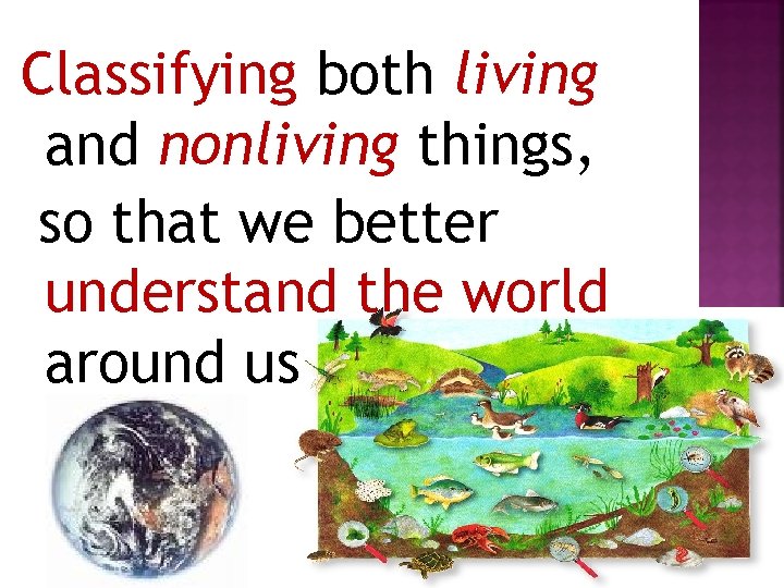 Classifying both living and nonliving things, so that we better understand the world around