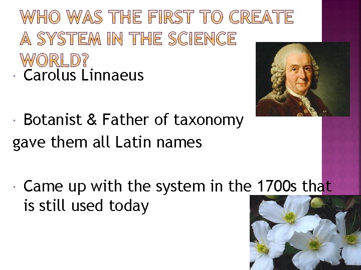  Carolus Linnaeus Botanist & Father of taxonomy gave them all Latin names Came