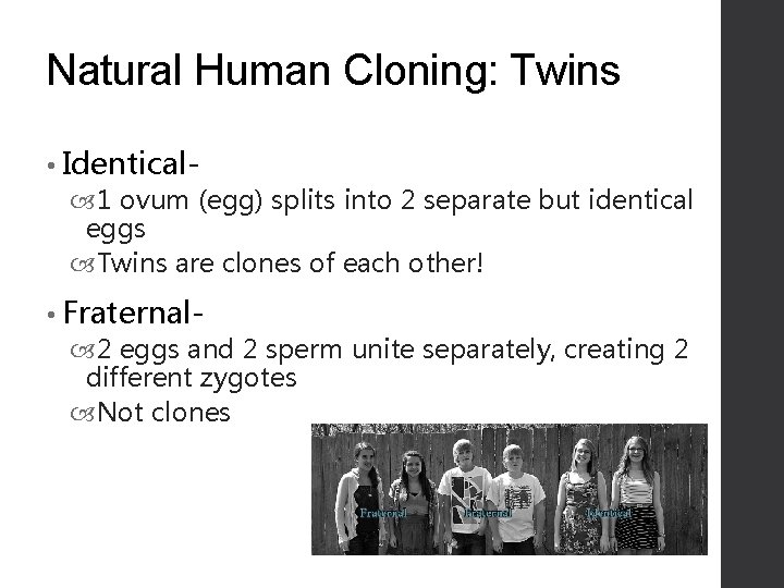 Natural Human Cloning: Twins • Identical 1 ovum (egg) splits into 2 separate but