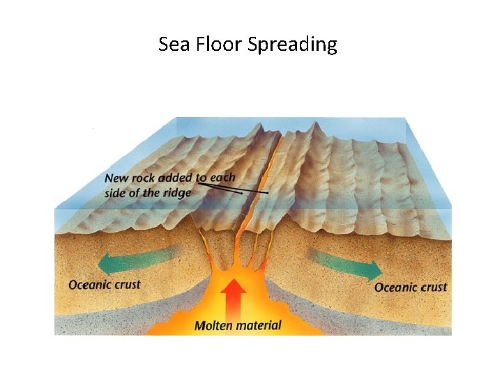 E Sea Floor Spreadingoor apart along both sides of the mid-ocean ridge as new