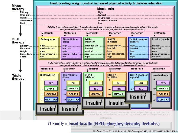 §Usually a basal insulin (NPH, glargine, detemir, degludec) 