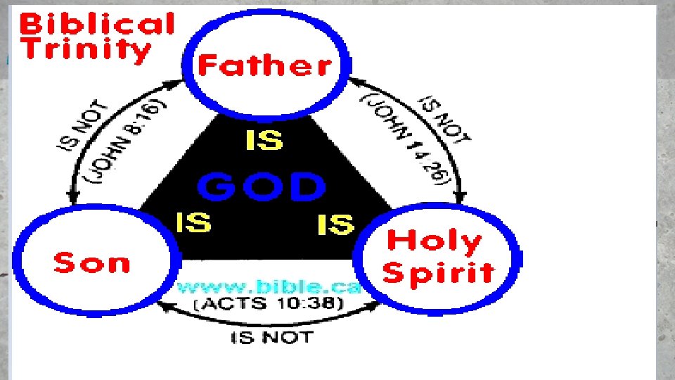 DISTINCTION IN THE GODHEAD 