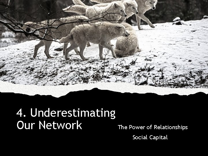 4. Underestimating Our Network The Power of Relationships Social Capital 