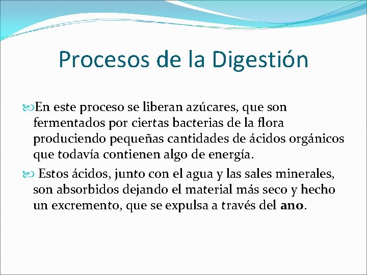 Procesos de la Digestión En este proceso se liberan azúcares, que son fermentados por