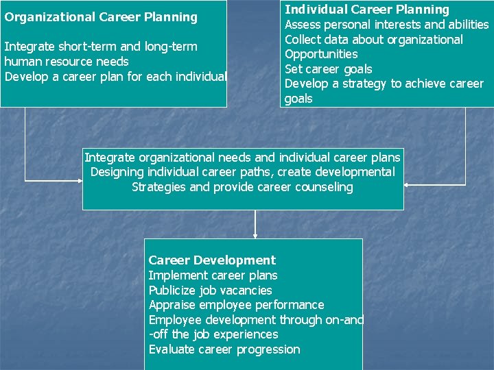 Organizational Career Planning Integrate short-term and long-term human resource needs Develop a career plan