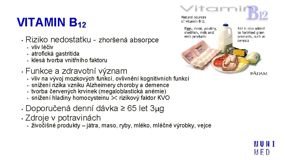 VITAMIN B 12 • Riziko nedostatku - zhoršená absorpce • • vliv léčiv atrofická