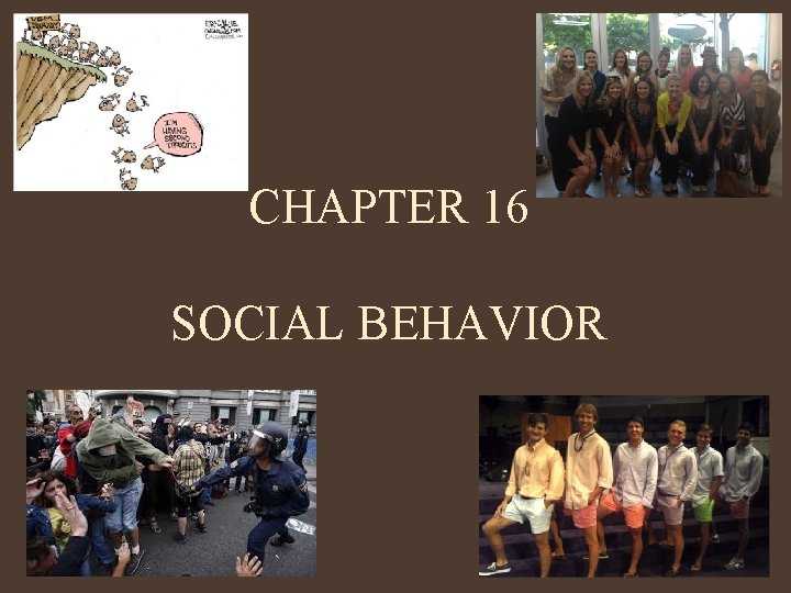 CHAPTER 16 SOCIAL BEHAVIOR 