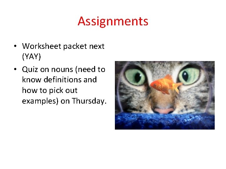 Assignments • Worksheet packet next (YAY) • Quiz on nouns (need to know definitions