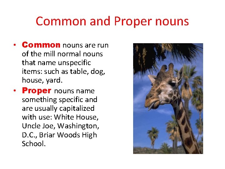 Common and Proper nouns • Common nouns are run of the mill normal nouns