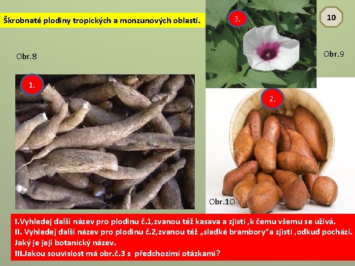 Škrobnaté plodiny tropických a monzunových oblastí. 10 3. Obr. 9 Obr. 8 1. 2.