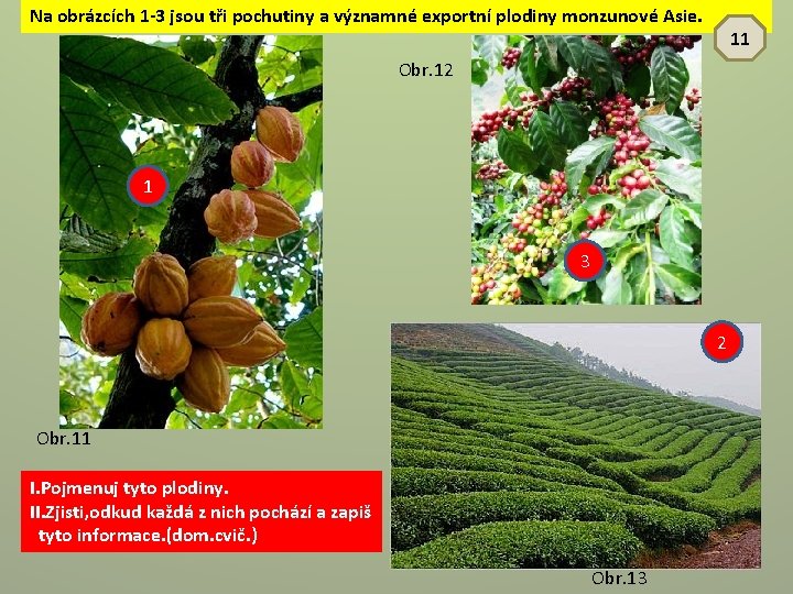 Na obrázcích 1 -3 jsou tři pochutiny a významné exportní plodiny monzunové Asie. 11