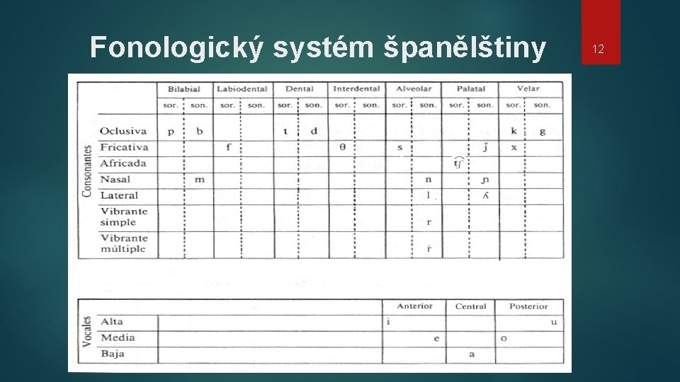 Fonologický systém španělštiny 12 