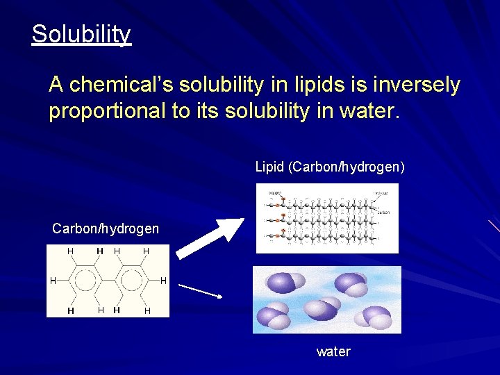 Solubility A chemical’s solubility in lipids is inversely proportional to its solubility in water.