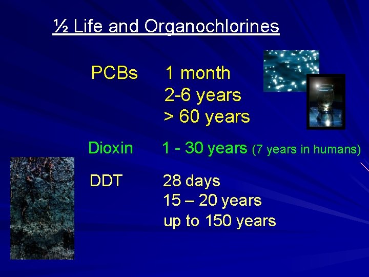 ½ Life and Organochlorines PCBs 1 month 2 -6 years > 60 years Dioxin
