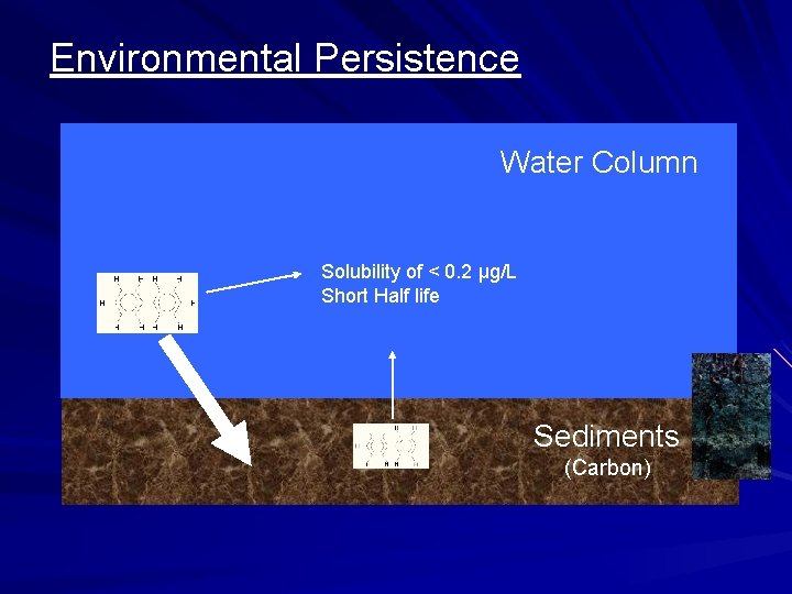 Environmental Persistence Water Column Solubility of < 0. 2 μg/L Short Half life Sediments
