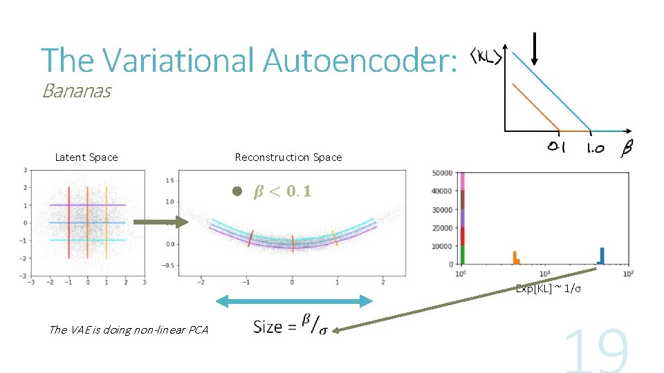 The Variational Autoencoder: Bananas Latent Space Reconstruction Space Exp[KL] ~ 1/σ The VAE is