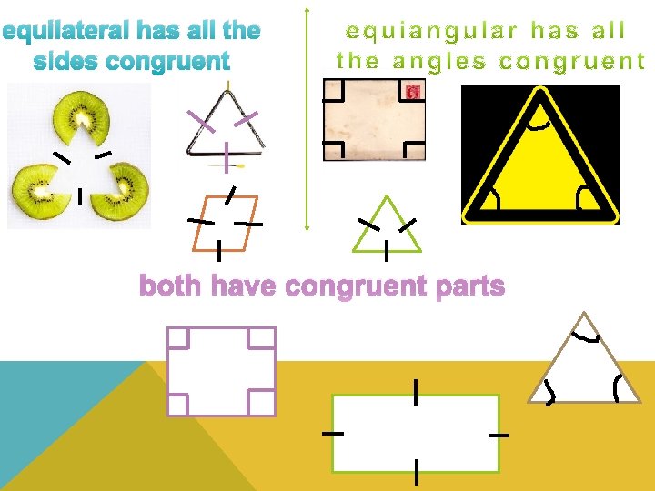 equilateral has all the sides congruent both have congruent parts 