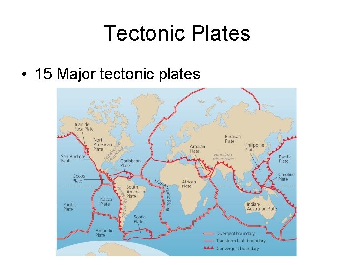 Tectonic Plates • 15 Major tectonic plates 