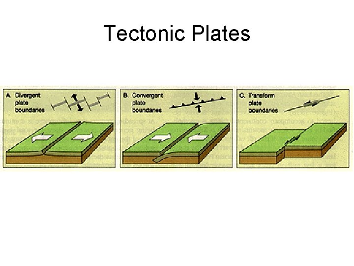 Tectonic Plates 