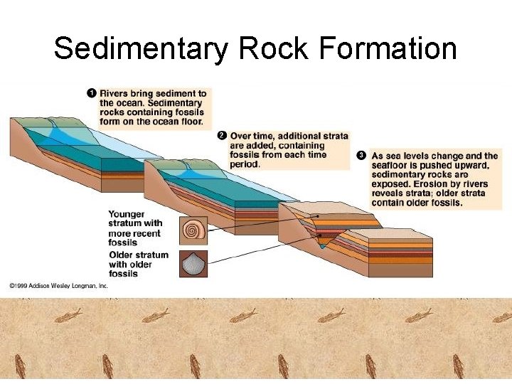 Sedimentary Rock Formation 