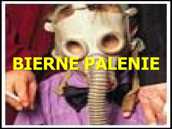 BIERNE PALENIE 24 