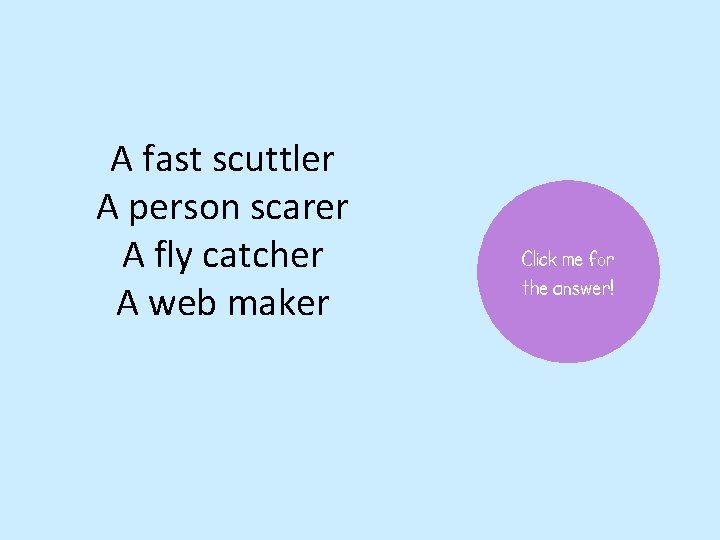 A fast scuttler A person scarer A fly catcher A web maker Click me