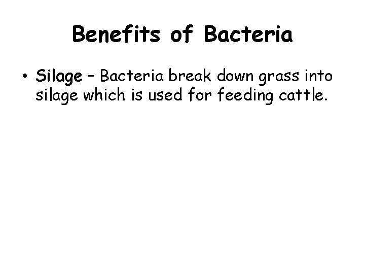 Benefits of Bacteria • Silage – Bacteria break down grass into silage which is