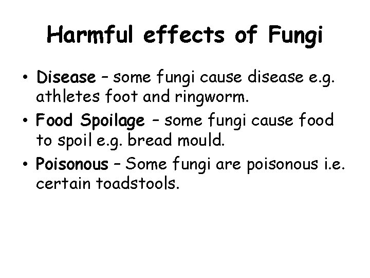 Harmful effects of Fungi • Disease – some fungi cause disease e. g. athletes