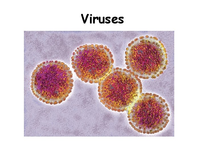 Viruses 