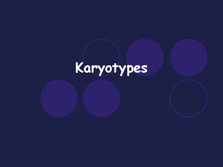 Karyotypes 