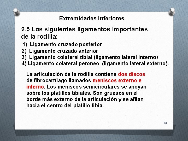 Extremidades inferiores 2. 5 Los siguientes ligamentos importantes de la rodilla: 1) Ligamento cruzado