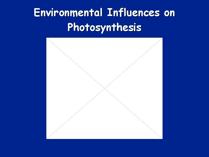 Chapter 9 Section 2 Photosynthesis Key Ideas n