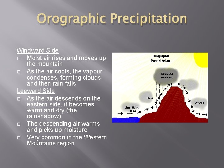 Orographic Precipitation Windward Side � Moist air rises and moves up the mountain �
